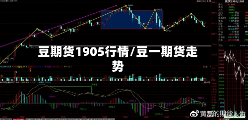 豆期货1905行情/豆一期货走势-第2张图片