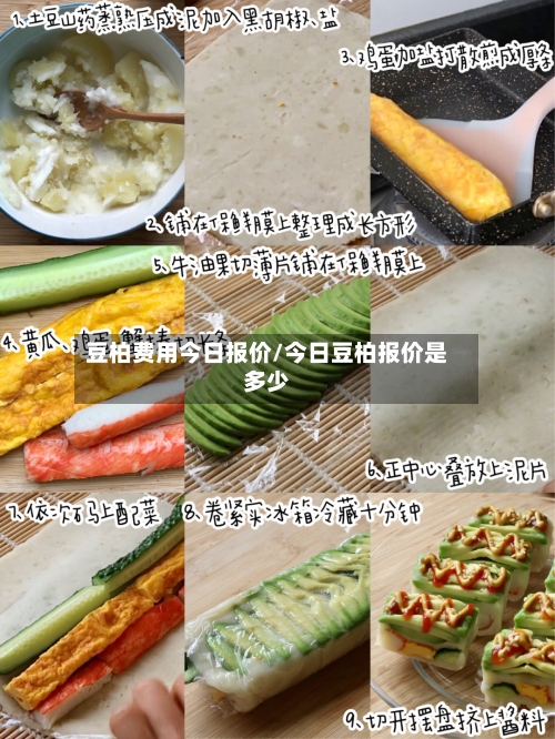 豆柏费用今日报价/今日豆柏报价是多少