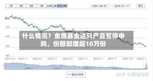什么情况？金鹰基金这只产品暂停申购，份额却增超10万份-第3张图片