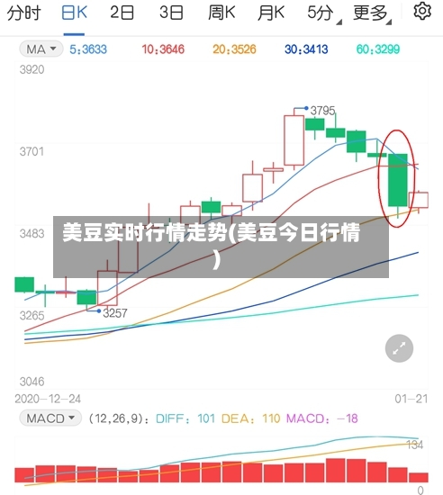美豆实时行情走势(美豆今日行情)-第2张图片