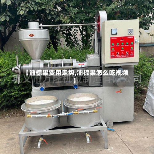 【油棕果费用走势,油棕果怎么吃视频】-第2张图片