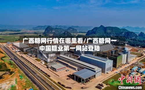 广西糖网行情在哪里看/广西糖网一中国糖业第一网站登陆-第3张图片