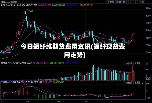 今日短纤维期货费用资讯(短纤现货费用走势)-第3张图片