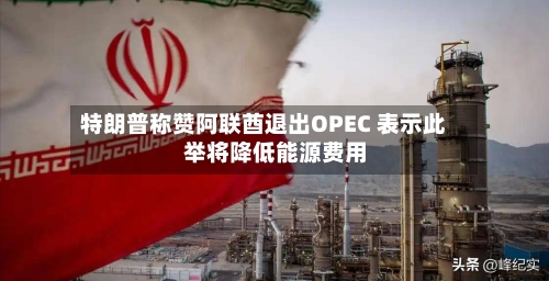 特朗普称赞阿联酋退出OPEC 表示此举将降低能源费用-第2张图片
