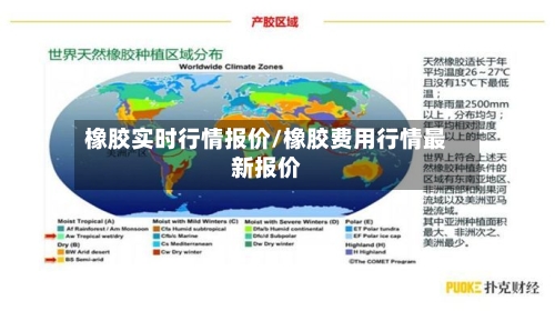 橡胶实时行情报价/橡胶费用行情最新报价-第2张图片