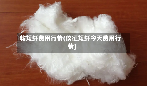 粘短纤费用行情(仪征短纤今天费用行情)-第2张图片