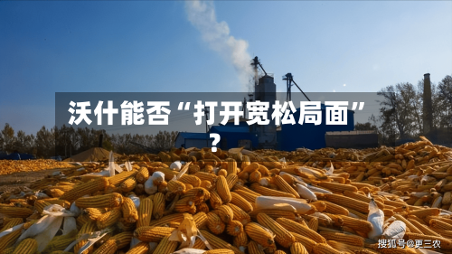 沃什能否“打开宽松局面”？-第2张图片