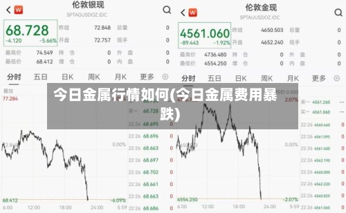 今日金属行情如何(今日金属费用暴跌)-第1张图片