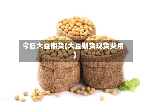 今日大豆期货(大豆期货现货费用)-第3张图片