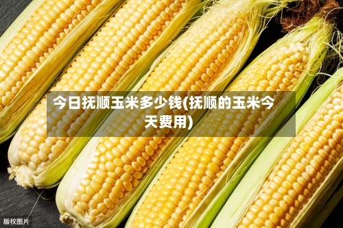 今日抚顺玉米多少钱(抚顺的玉米今天费用)-第2张图片