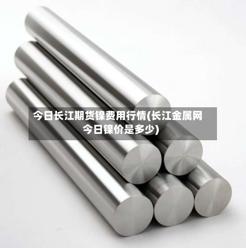 今日长江期货镍费用行情(长江金属网今日镍价是多少)-第2张图片