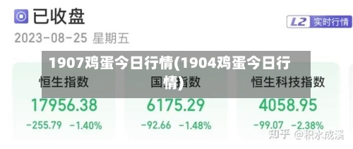 1907鸡蛋今日行情(1904鸡蛋今日行情)-第2张图片