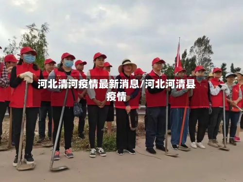 河北清河疫情最新消息/河北河清县疫情-第2张图片