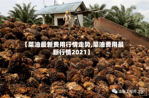 【菜油最新费用行情走势,菜油费用最新行情2021】-第3张图片