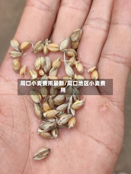 周口小麦费用最新/周口地区小麦费用-第2张图片