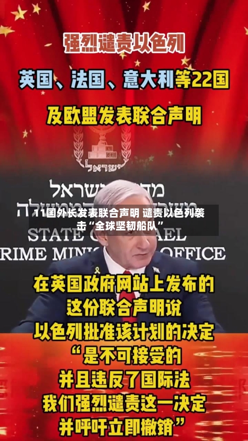 11国外长发表联合声明 谴责以色列袭击“全球坚韧船队”-第2张图片