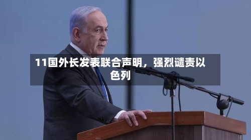 11国外长发表联合声明，强烈谴责以色列-第2张图片