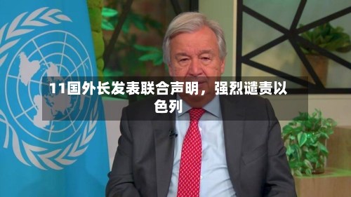 11国外长发表联合声明	，强烈谴责以色列-第3张图片