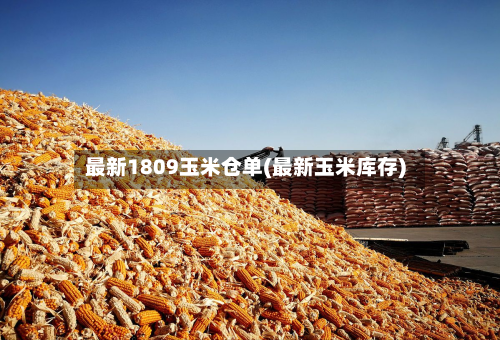 最新1809玉米仓单(最新玉米库存)-第1张图片