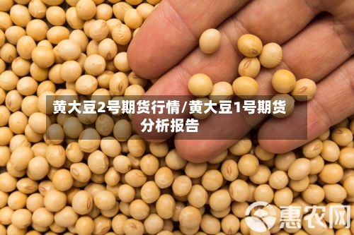 黄大豆2号期货行情/黄大豆1号期货分析报告-第1张图片