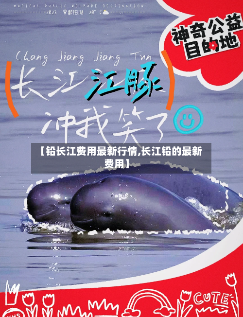 【铅长江费用最新行情,长江铅的最新费用】-第2张图片