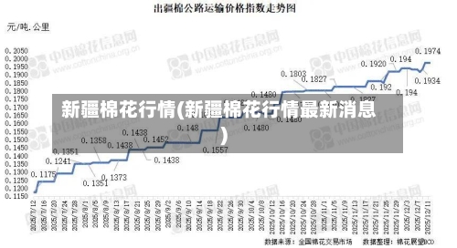 新疆棉花行情(新疆棉花行情最新消息)-第1张图片