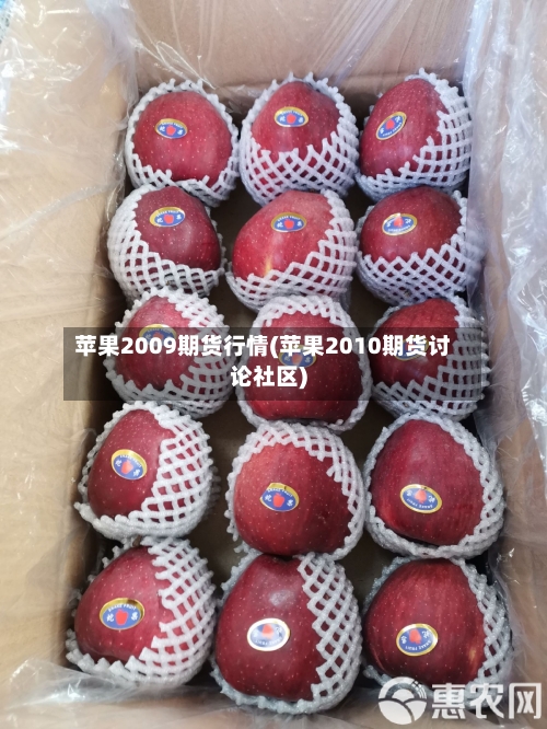 苹果2009期货行情(苹果2010期货讨论社区)-第1张图片