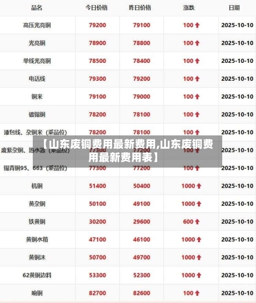 【山东废铜费用最新费用,山东废铜费用最新费用表】-第2张图片