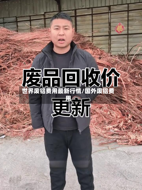 世界废铝费用最新行情/国外废铝费用-第2张图片