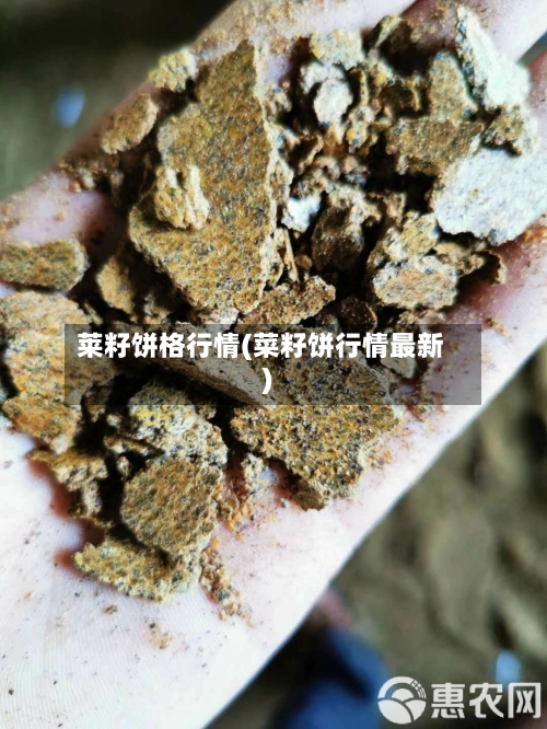 莱籽饼格行情(菜籽饼行情最新)-第2张图片