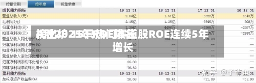 A股2025年ROE排名榜出炉 15只热门赛道股ROE连续5年增长-第2张图片