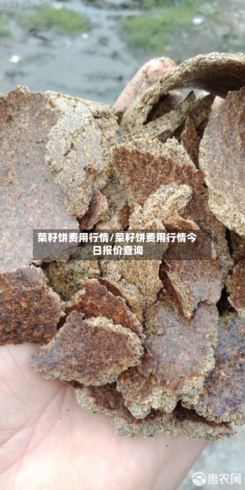 菜籽饼费用行情/菜籽饼费用行情今日报价查询-第3张图片