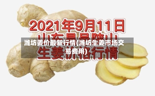 潍坊姜价最新行情(潍坊生姜市场交易费用)-第2张图片