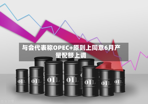 与会代表称OPEC+原则上同意6月产量配额上调-第1张图片