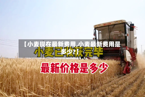 【小麦现在最新费用,小麦最新费用是多少?】-第1张图片
