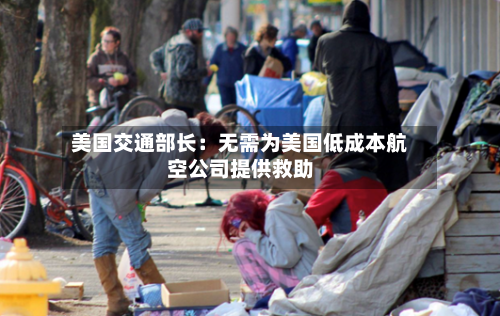 美国交通部长：无需为美国低成本航空公司提供救助-第2张图片