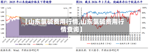 【山东氯碱费用行情,山东氯碱费用行情查询】-第1张图片
