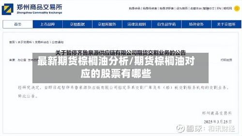 最新期货棕榈油分析/期货棕榈油对应的股票有哪些-第1张图片