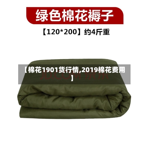 【棉花1901货行情,2019棉花费用】-第1张图片
